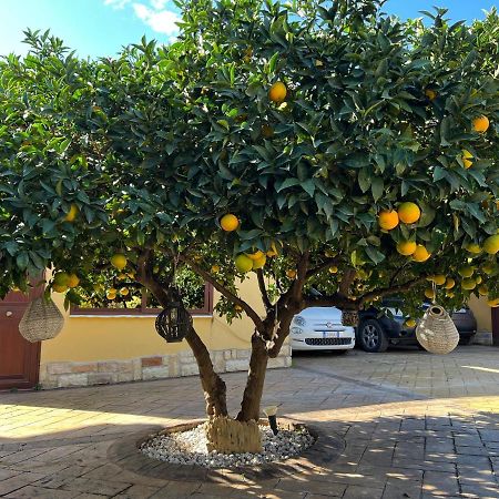 B&B Templi E Arte Villaggio Mosè Exteriér fotografie